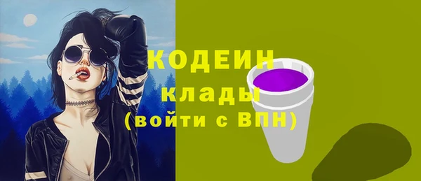 соль ск Абаза