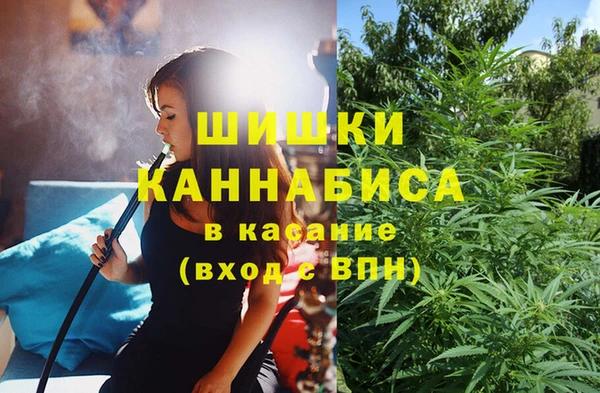 сатива Абдулино