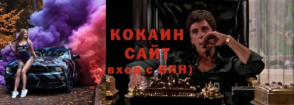 соль ск Абаза