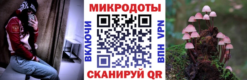 Псилоцибиновые грибы Psilocybine cubensis  купить   Болгар 